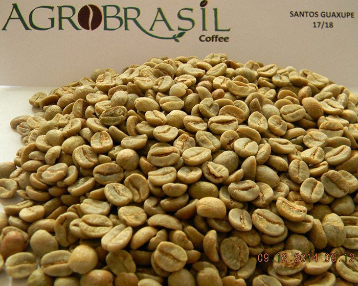 Santos Guaxupe Dulce 17/18 